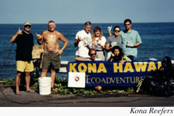 konareefers