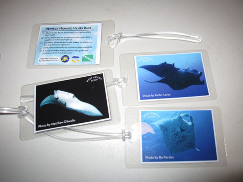 Manta ray bag tags
