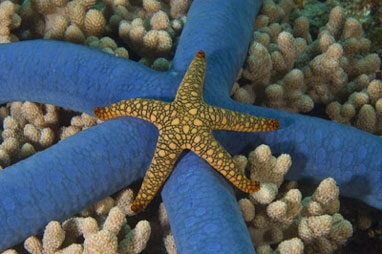 E-Current Photo Feature