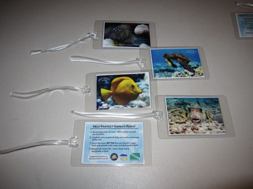 Reef life bag tags