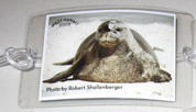 2010 marine mammal bag tag