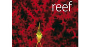 reef the book