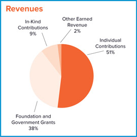 2008 Revenues Pie Chart