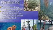 WHVS training slide